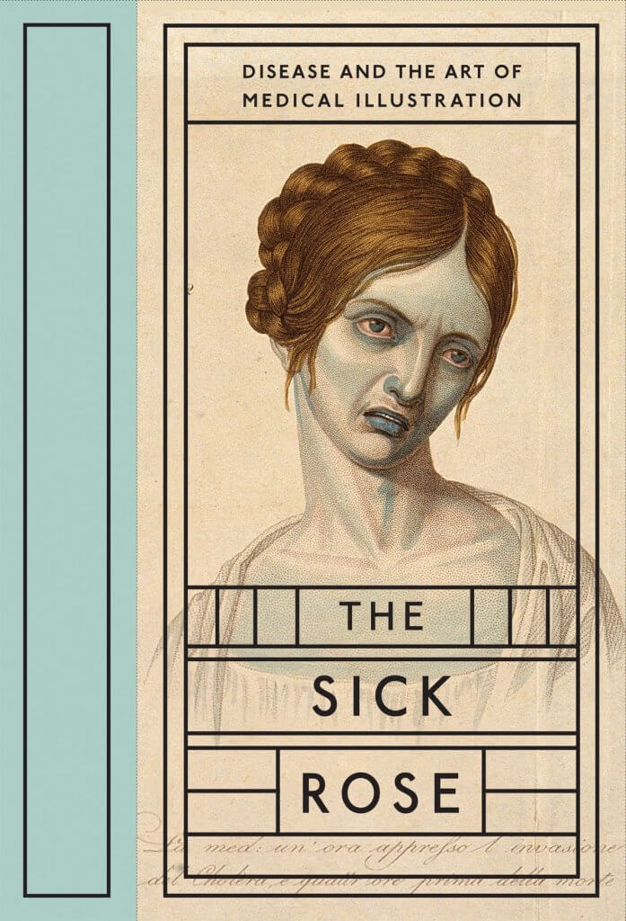 The Sick Rose - book cover